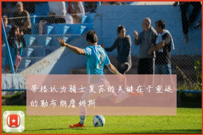 蒂格认为骑士复苏的关键在于重返的勒布朗詹姆斯